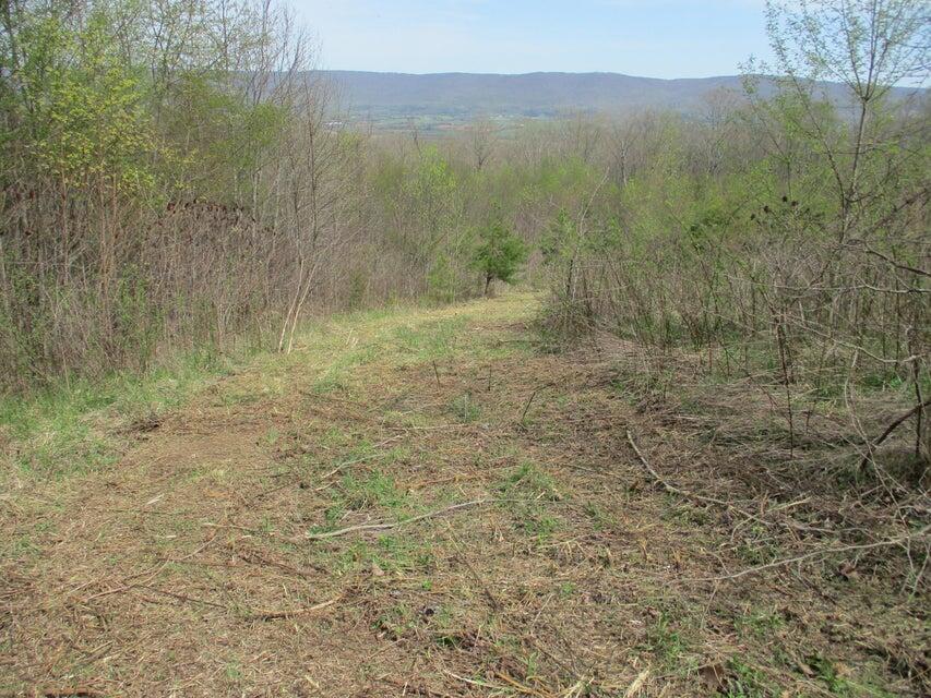 327 Odyssey Farms Roads Pikeville, TN 37367 - Photo 11 of 36 20220418122807568881000000-o - Copy