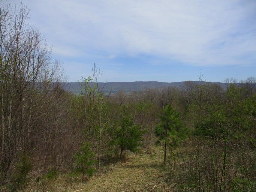 327 Odyssey Farms Roads Pikeville, TN 37367 - Photo 12 of 36 20220418122815749709000000-o - Copy