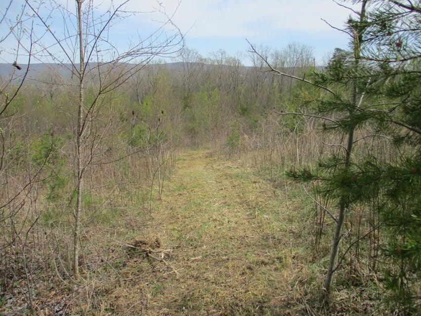 327 Odyssey Farms Roads Pikeville, TN 37367 - Photo 13 of 36 20220418122822999288000000-o - Copy