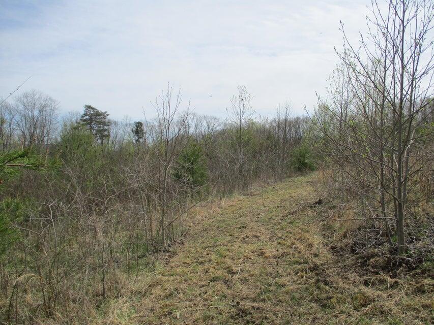 327 Odyssey Farms Roads Pikeville, TN 37367 - Photo 16 of 36 20220418122846834033000000-o - Copy