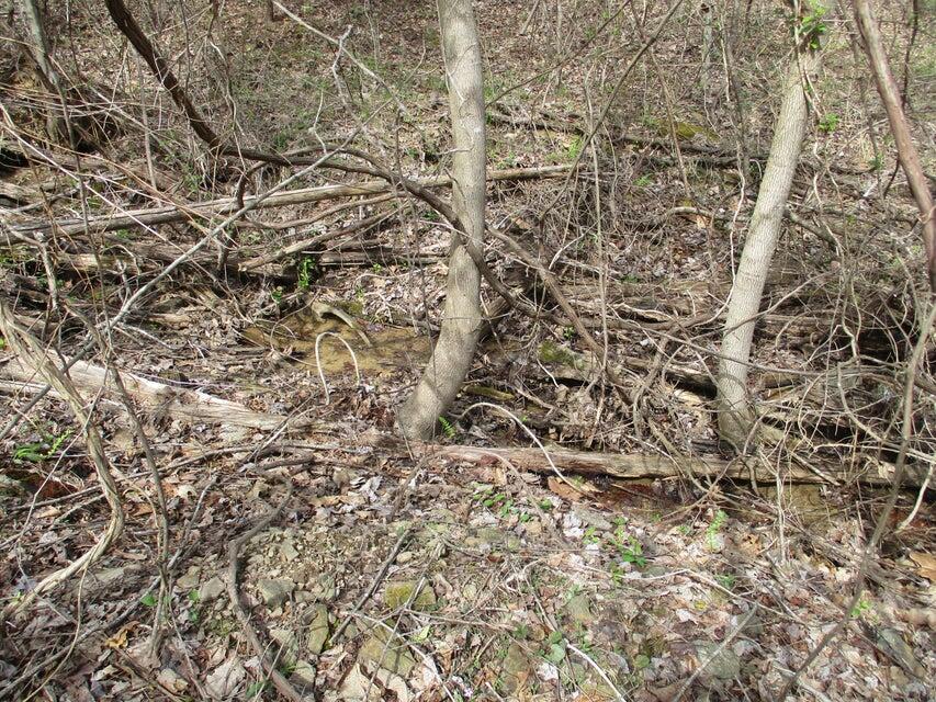 327 Odyssey Farms Roads Pikeville, TN 37367 - Photo 17 of 36 20220418122901969316000000-o - Copy