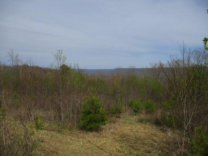 327 Odyssey Farms Roads Pikeville, TN 37367 - Photo 19 of 36 20220418122954945108000000-o - Copy