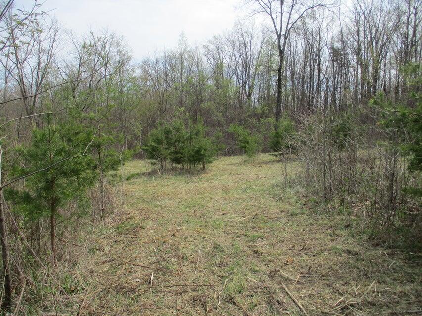 327 Odyssey Farms Roads Pikeville, TN 37367 - Photo 20 of 36 20220418123019339750000000-o - Copy