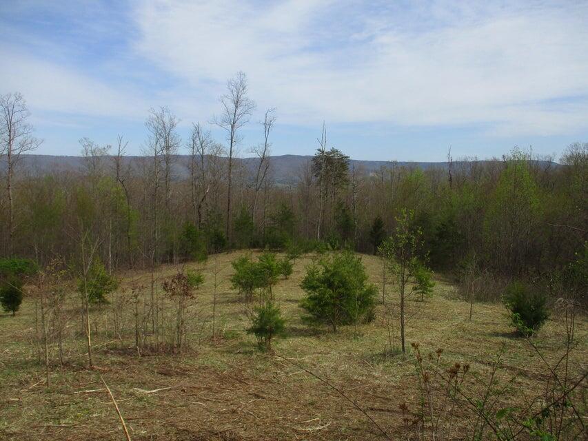 327 Odyssey Farms Roads Pikeville, TN 37367 - Photo 2 of 36 20220418123229558405000000-o - Copy