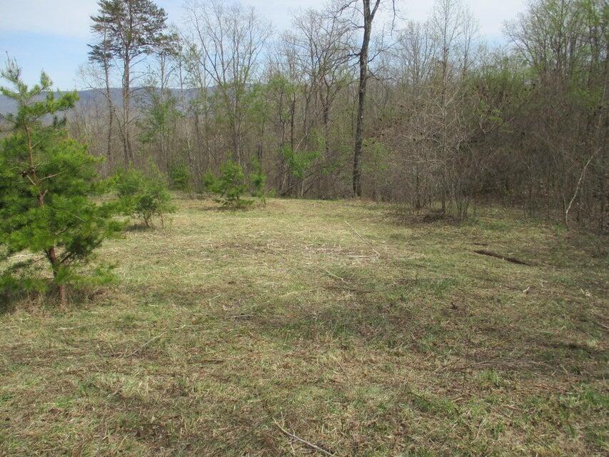 327 Odyssey Farms Roads Pikeville, TN 37367 - Photo 23 of 36 20220418123044635354000000-o - Copy