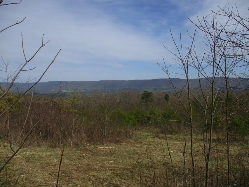 327 Odyssey Farms Roads Pikeville, TN 37367 - Photo 24 of 36 20220418123100217767000000-o - Copy