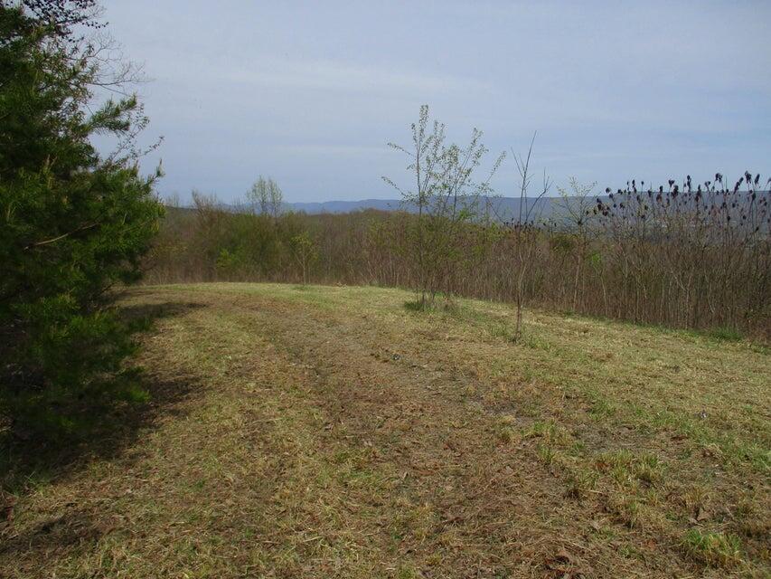 327 Odyssey Farms Roads Pikeville, TN 37367 - Photo 26 of 36 20220418123116619088000000-o - Copy