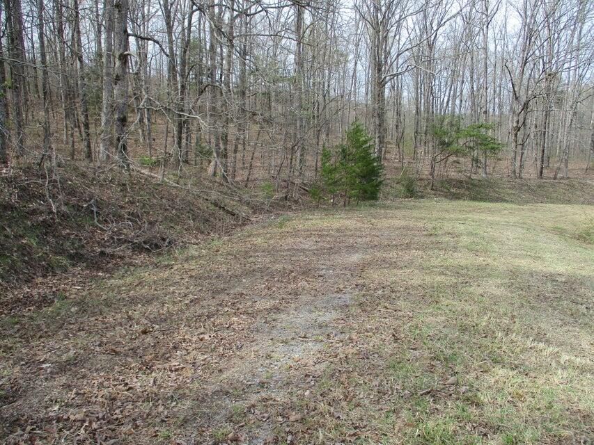 327 Odyssey Farms Roads Pikeville, TN 37367 - Photo 29 of 36 20220418123141628058000000-o - Copy