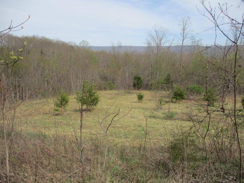 327 Odyssey Farms Roads Pikeville, TN 37367 - Photo 30 of 36 20220418123157205269000000-o - Copy