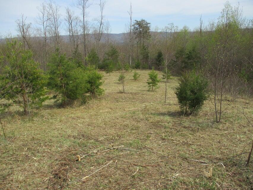 327 Odyssey Farms Roads Pikeville, TN 37367 - Photo 31 of 36 20220418123236742815000000-o - Copy