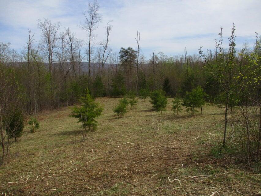 327 Odyssey Farms Roads Pikeville, TN 37367 - Photo 32 of 36 20220418123252905294000000-o - Copy