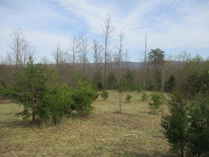 327 Odyssey Farms Roads Pikeville, TN 37367 - Photo 33 of 36 20220418123300742682000000-o - Copy