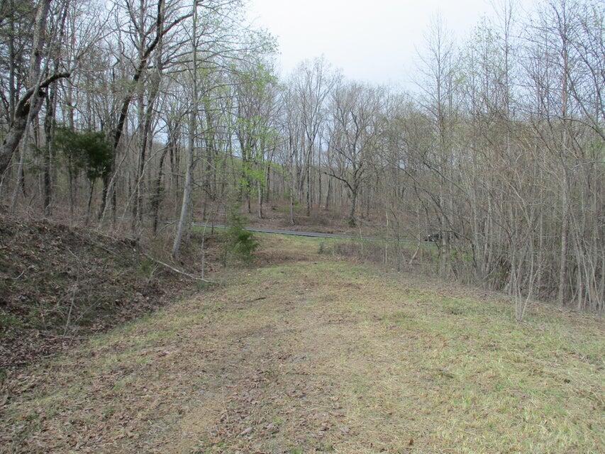 327 Odyssey Farms Roads Pikeville, TN 37367 - Photo 34 of 36 20220418123316313562000000-o - Copy