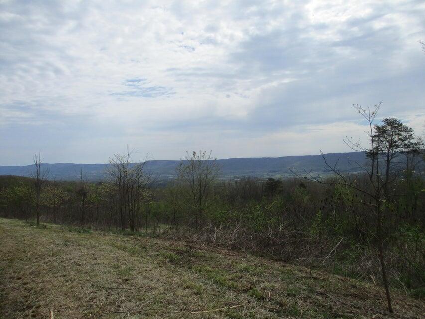 327 Odyssey Farms Roads Pikeville, TN 37367 - Photo 35 of 36 20220418123341771253000000-o - Copy