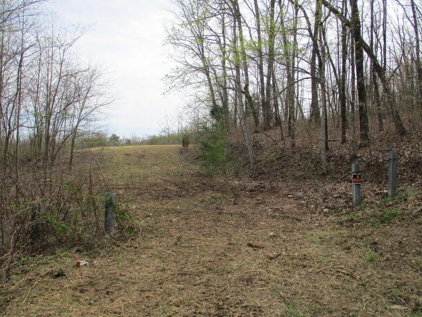 327 Odyssey Farms Roads Pikeville, TN 37367 - Photo 5 of 36 20220418122716068254000000-o - Copy