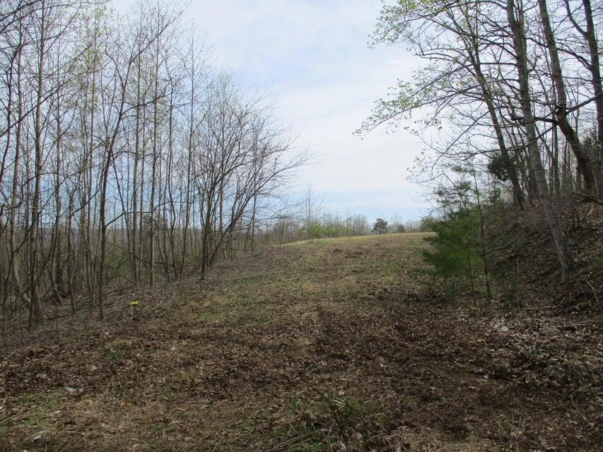327 Odyssey Farms Roads Pikeville, TN 37367 - Photo 6 of 36 20220418122724630001000000-o - Copy