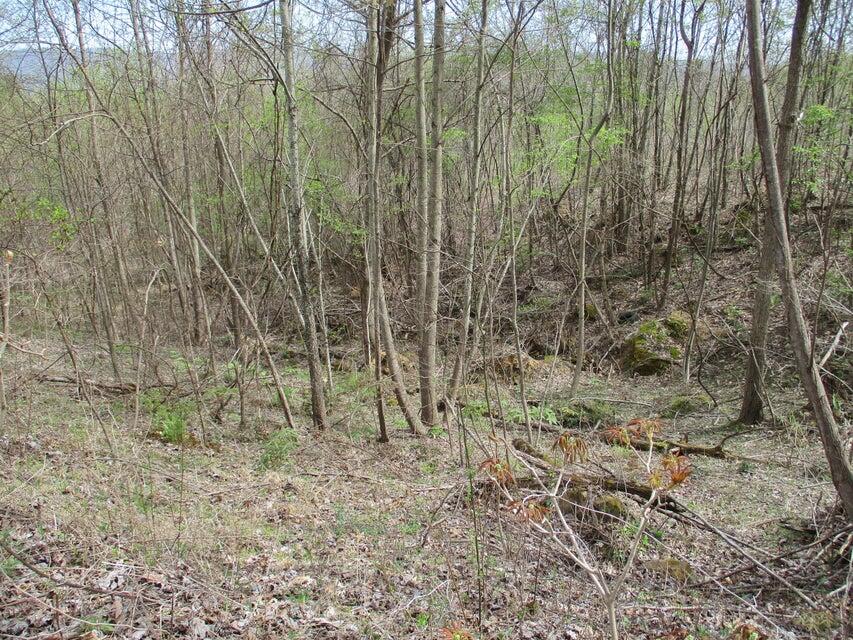 327 Odyssey Farms Roads Pikeville, TN 37367 - Photo 8 of 36 20220418122742741255000000-o - Copy