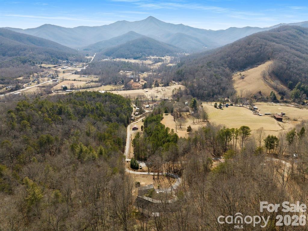 56 Great Horned Owl Road Candler, NC 28715 - Photo 32 of 32 a view of city and mountain