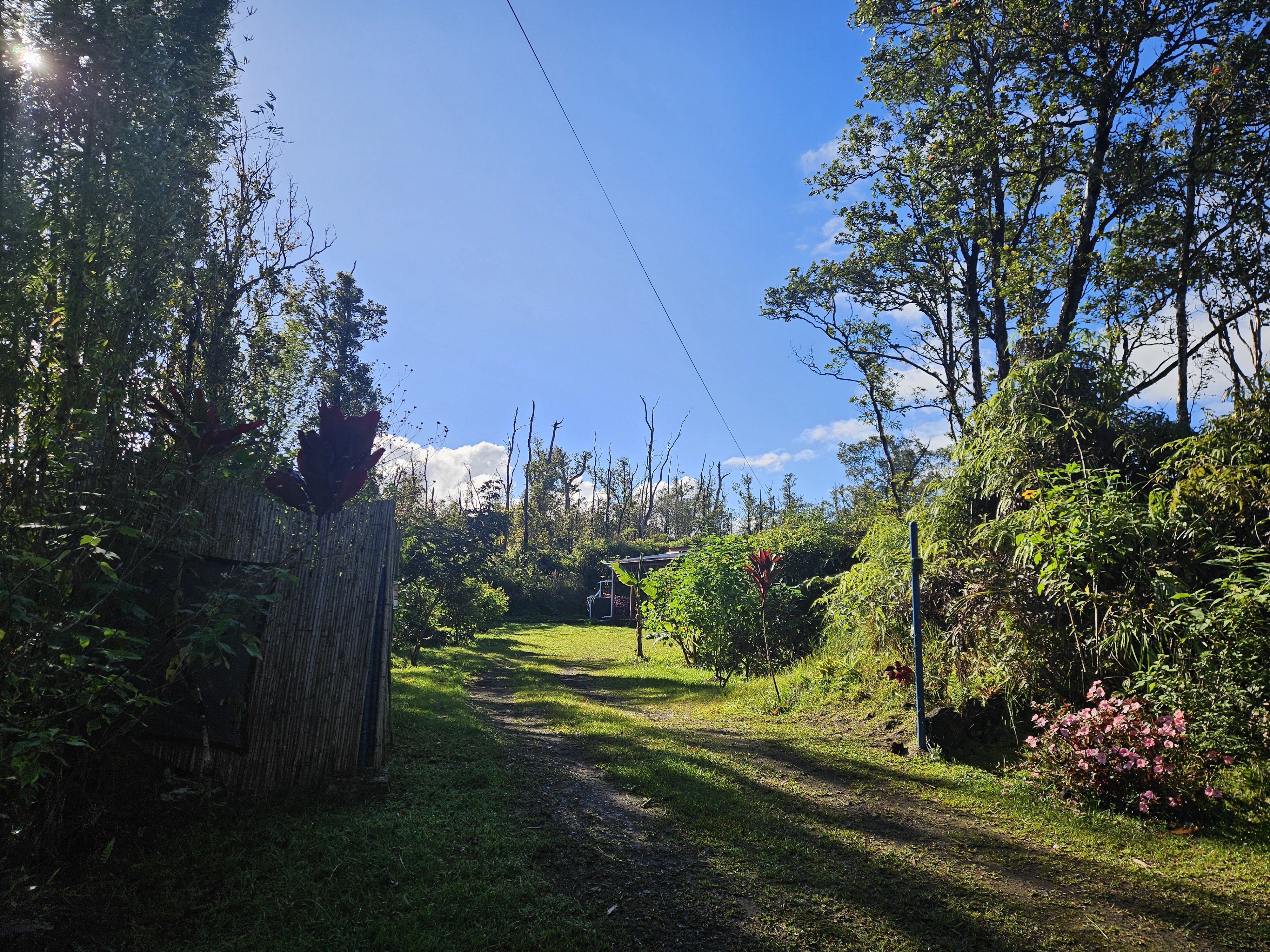 11-2093 Alii Wao Road Pahoa, HI 96778 - Photo 13 of 21 a view of a garden