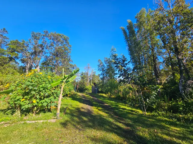 $115,000 | 11-2093 Alii Wao Road, Pahoa, HI 96778