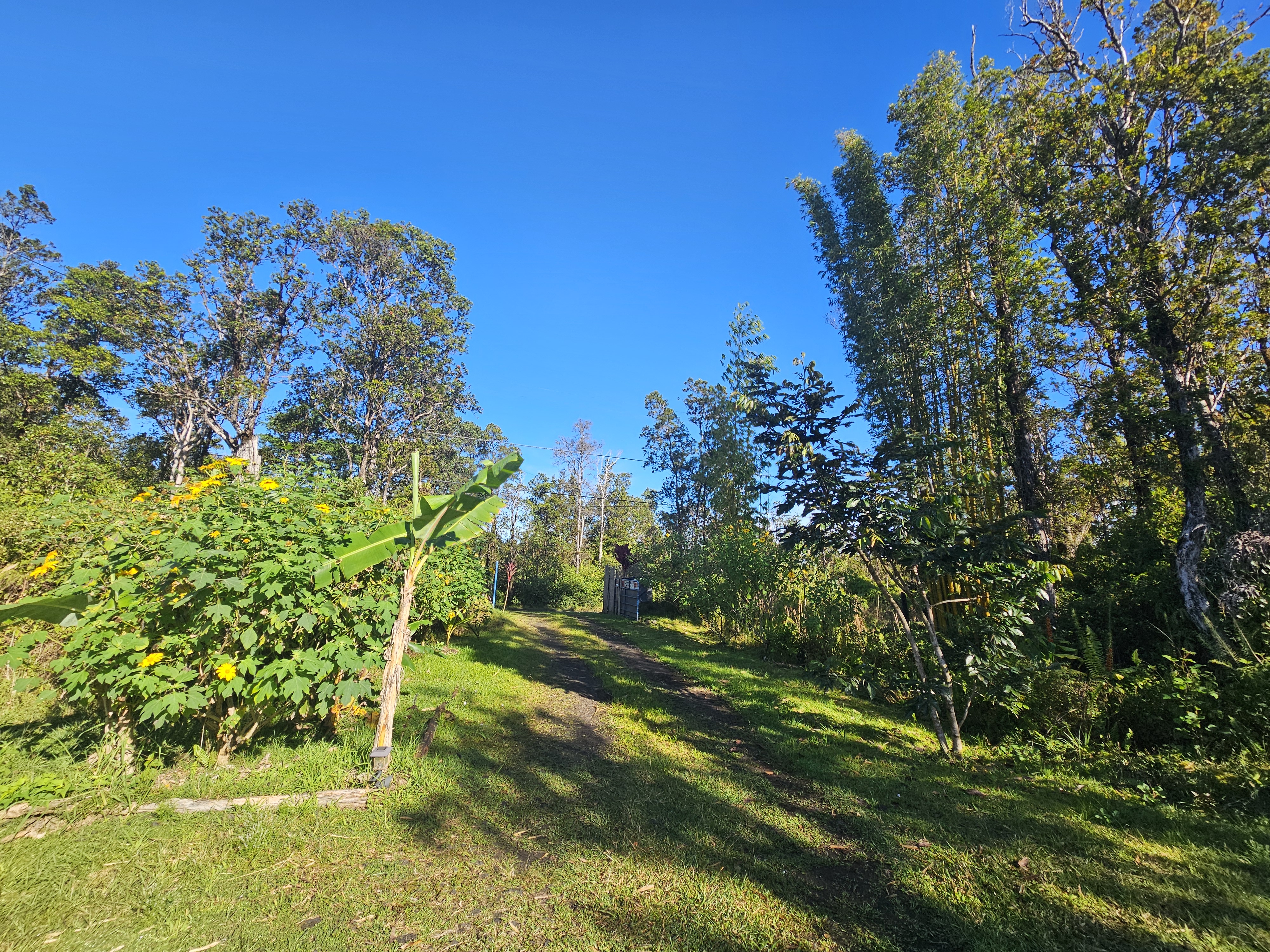 11-2093 Alii Wao Road Pahoa, HI 96778 - Photo 14 of 21 a view of a big yard with swimming pool