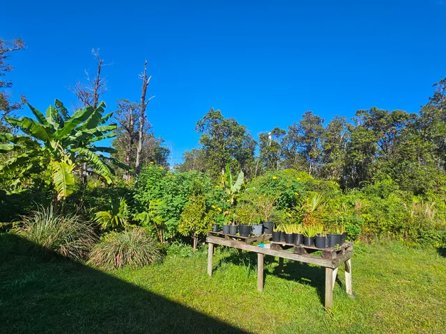 $115,000 | 11-2093 Alii Wao Road, Pahoa, HI 96778