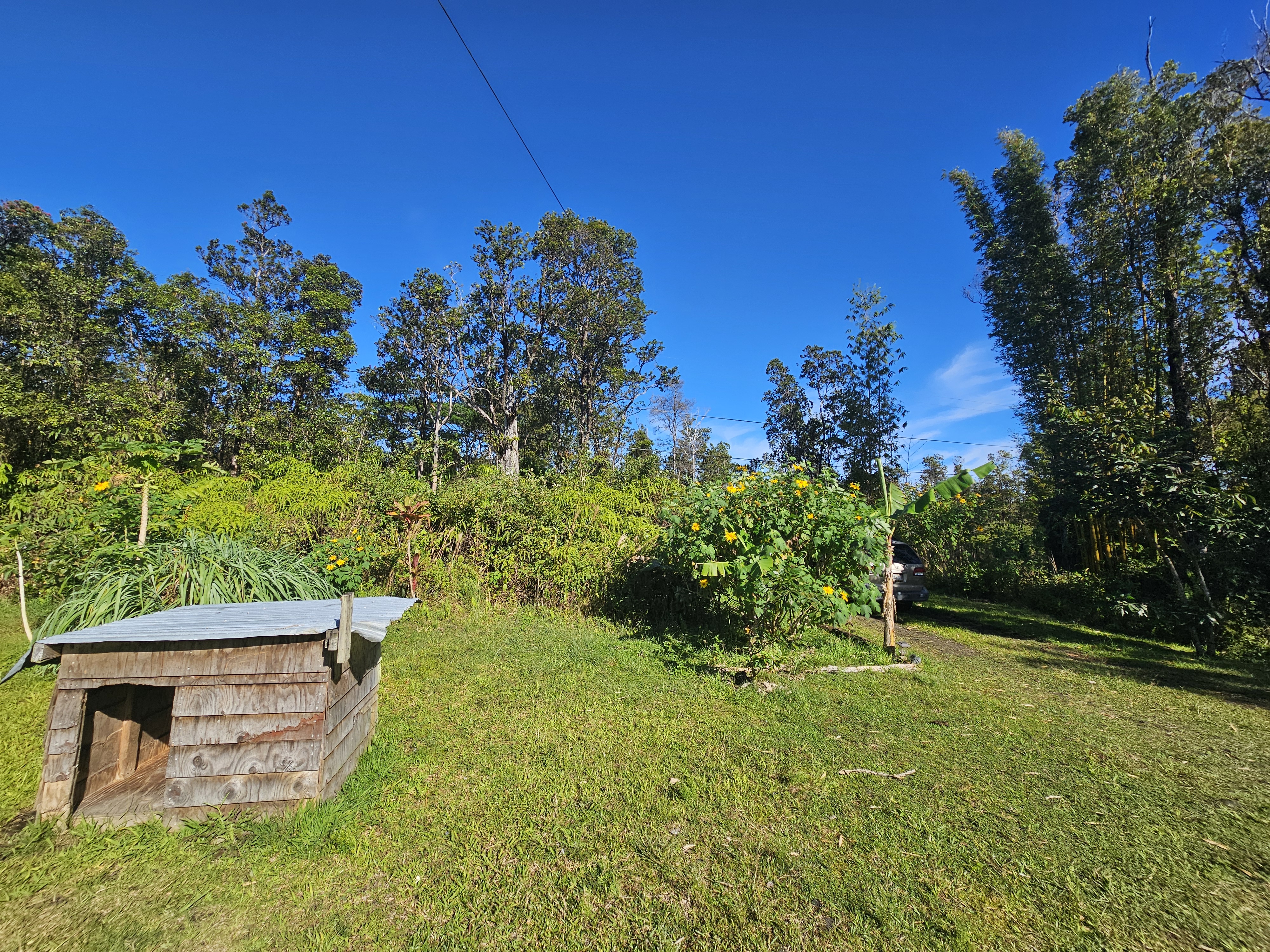 11-2093 Alii Wao Road Pahoa, HI 96778 - Photo 17 of 21 a view of a yard with a tree