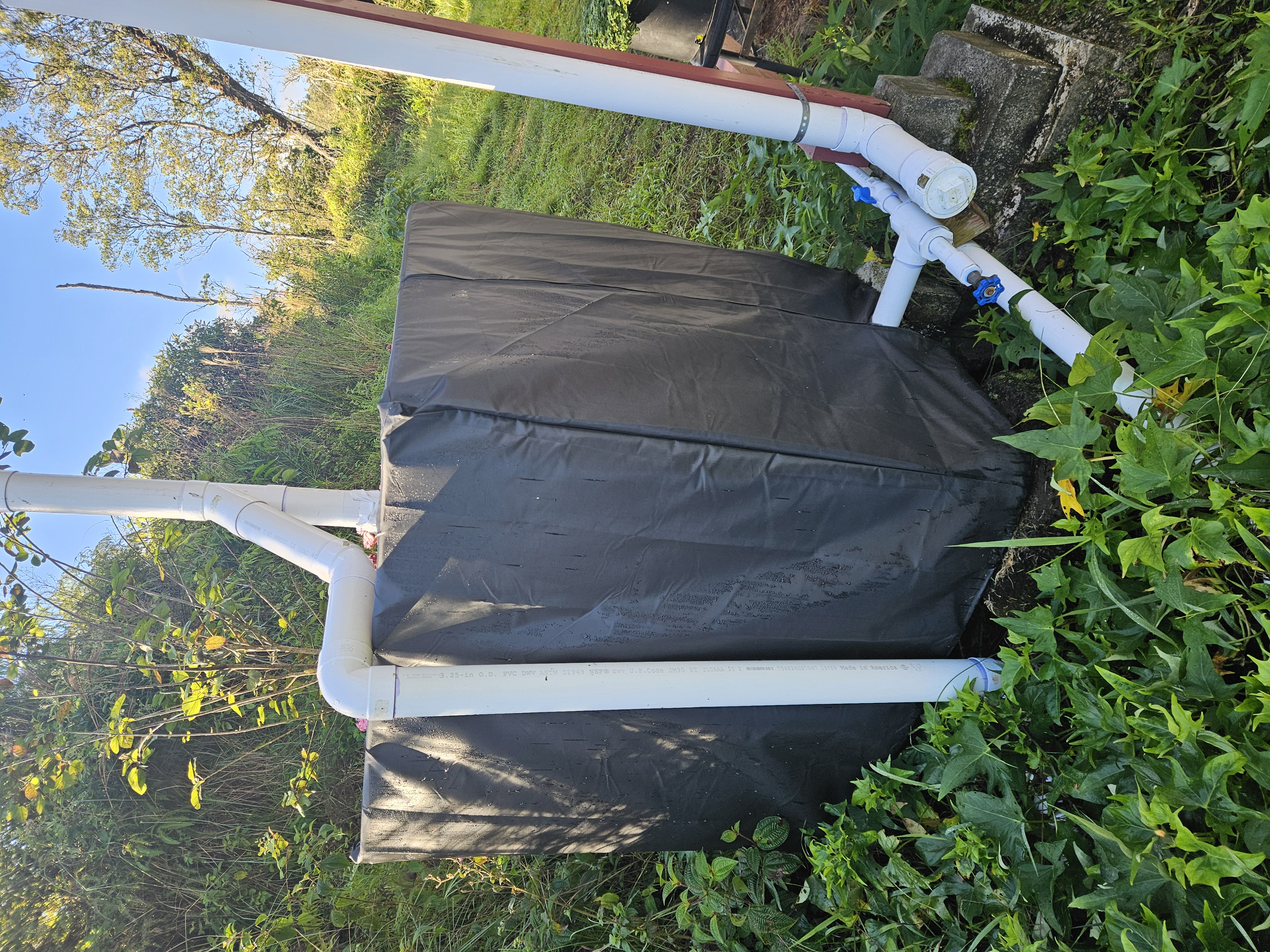 11-2093 Alii Wao Road Pahoa, HI 96778 - Photo 21 of 21 a view of a backyard with plants