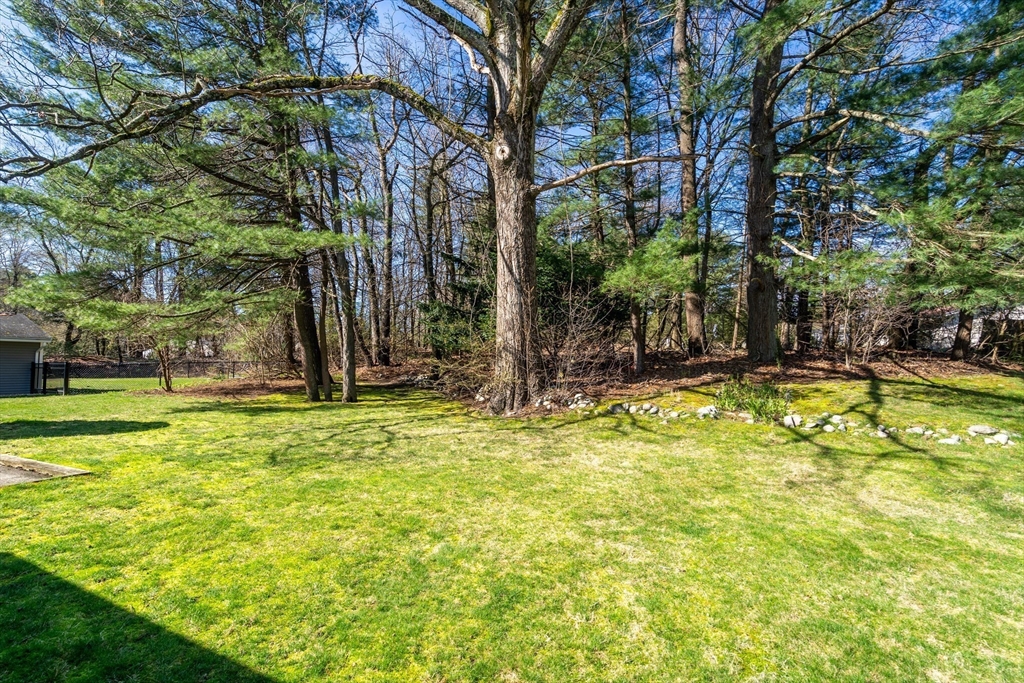 6 Mary Agnes Road Framingham, MA 01701 - Photo 13 of 13 a view of swimming pool with small garden