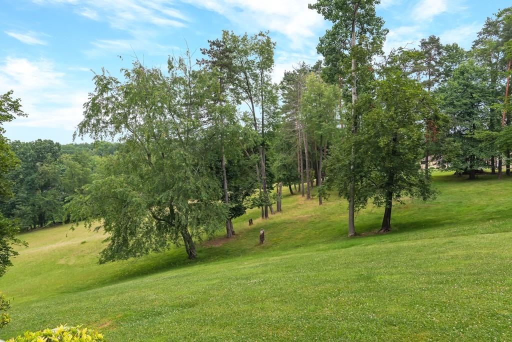 2389 Jenkinson Drive Pittsburgh, PA 15237 - Photo 29 of 29 a view of park