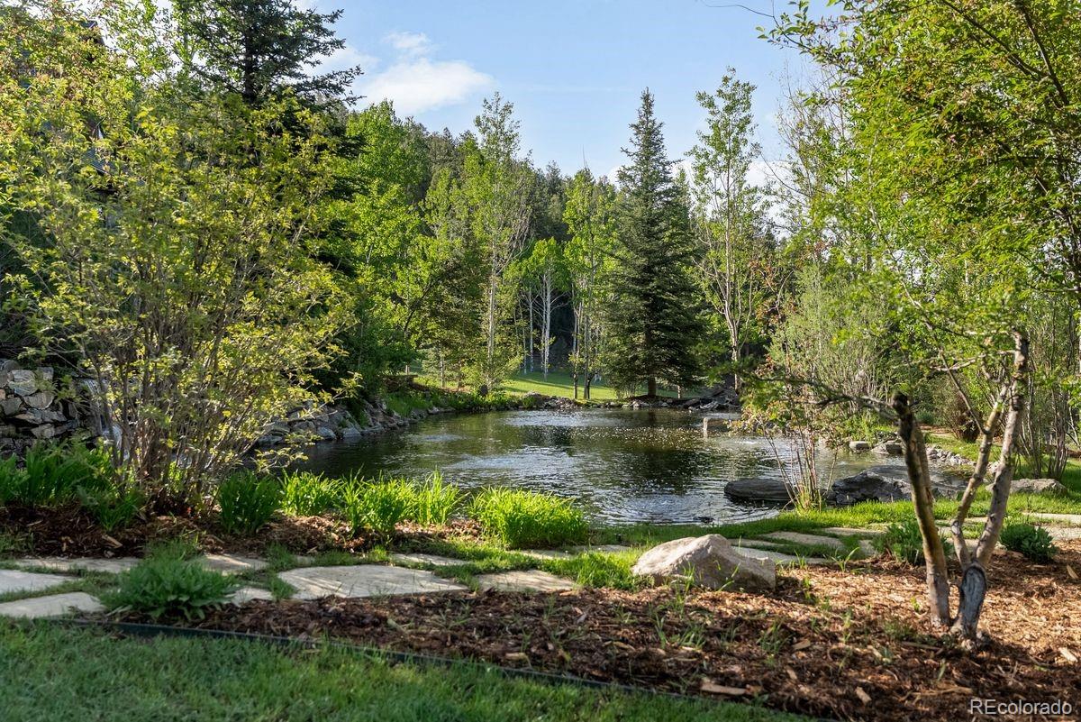 29700 South Sunset Trail Conifer, CO 80433 - Photo 3 of 46