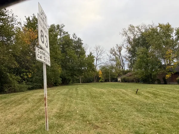 a view of a field with trees in the background