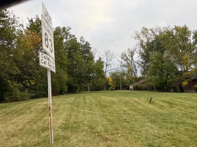 a view of a field with trees in the background