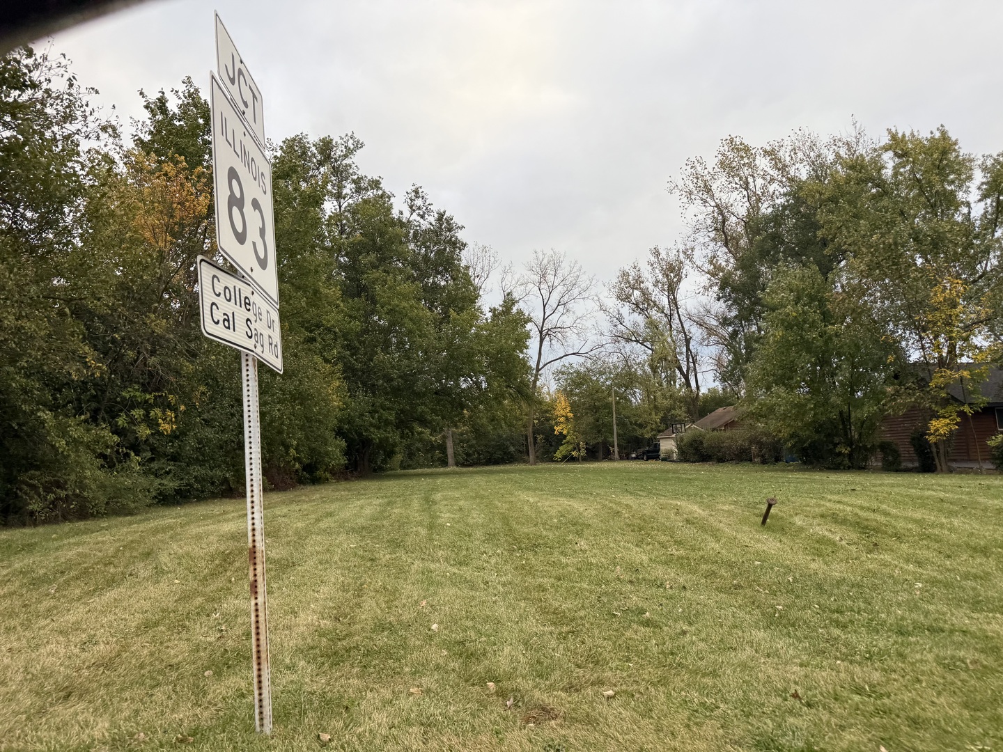 a view of a field with trees in the background