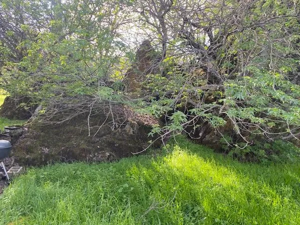 $275,000 | 10601 Acorn Lane, Angels Camp, CA 95222