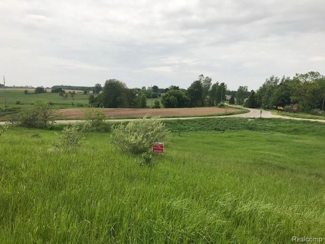 Vac Vac Meridian & Balcom Road Laingsburg, MI 48848 - Photo 1 of 20