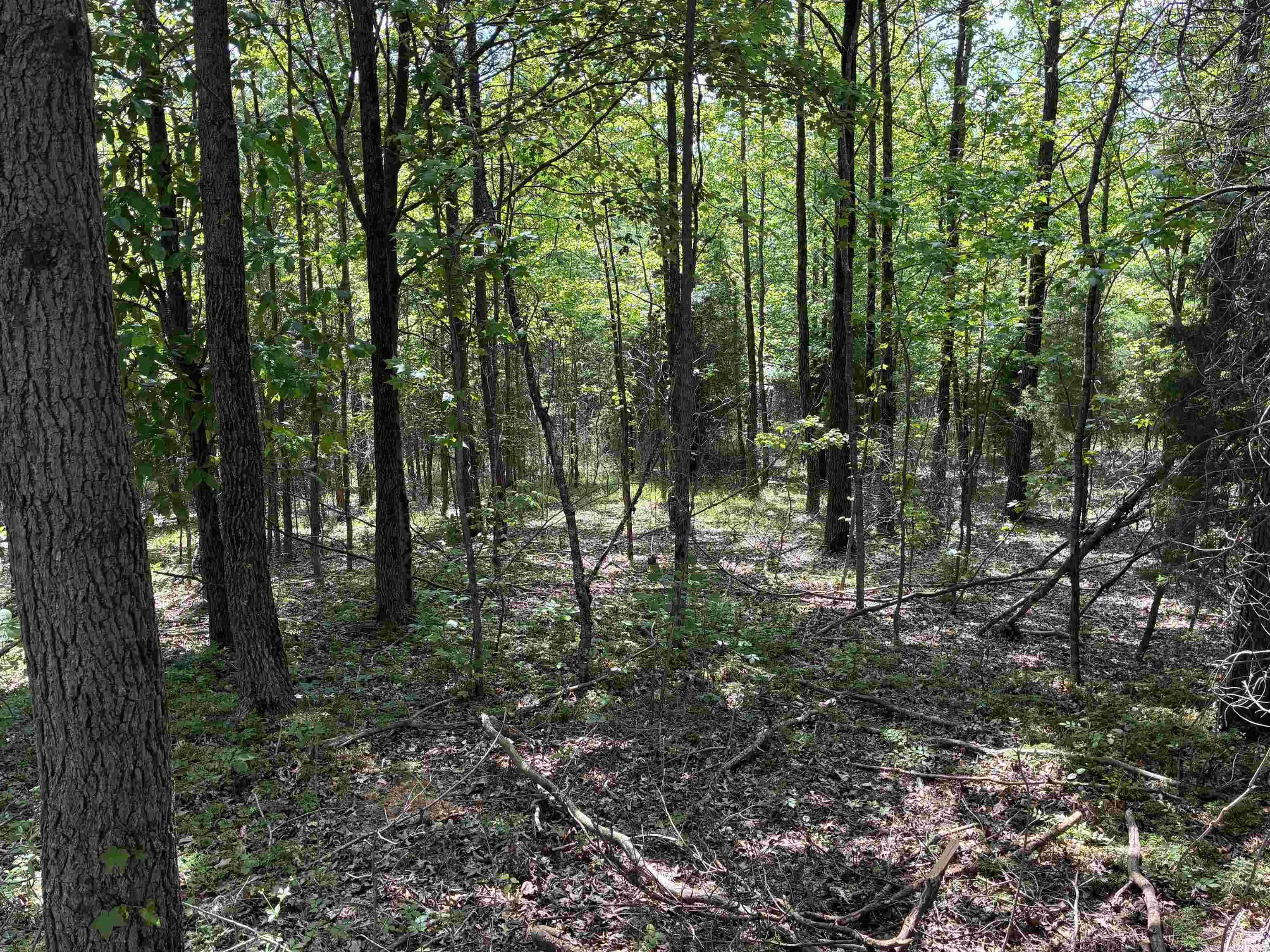 257 State Road Velpen, IN 47590 - Photo 14 of 29
