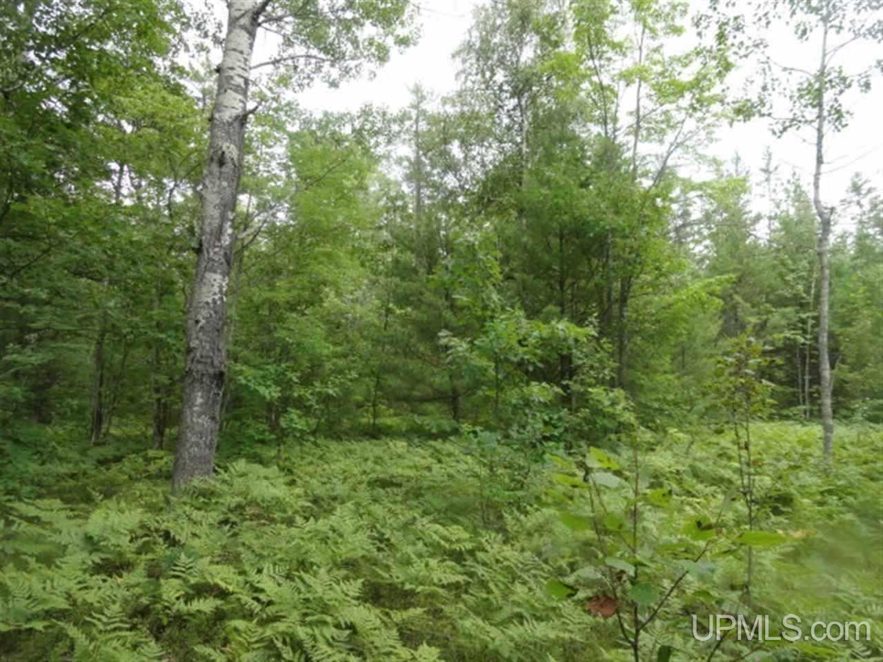 Tbd Chamberlain Road Wetmore, MI 49895 - Photo 1 of 13