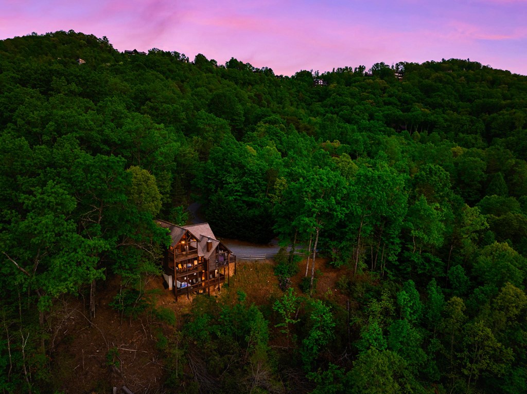 273 Deer Crest Heights Blue Ridge, GA 30513 - Photo 7 of 72