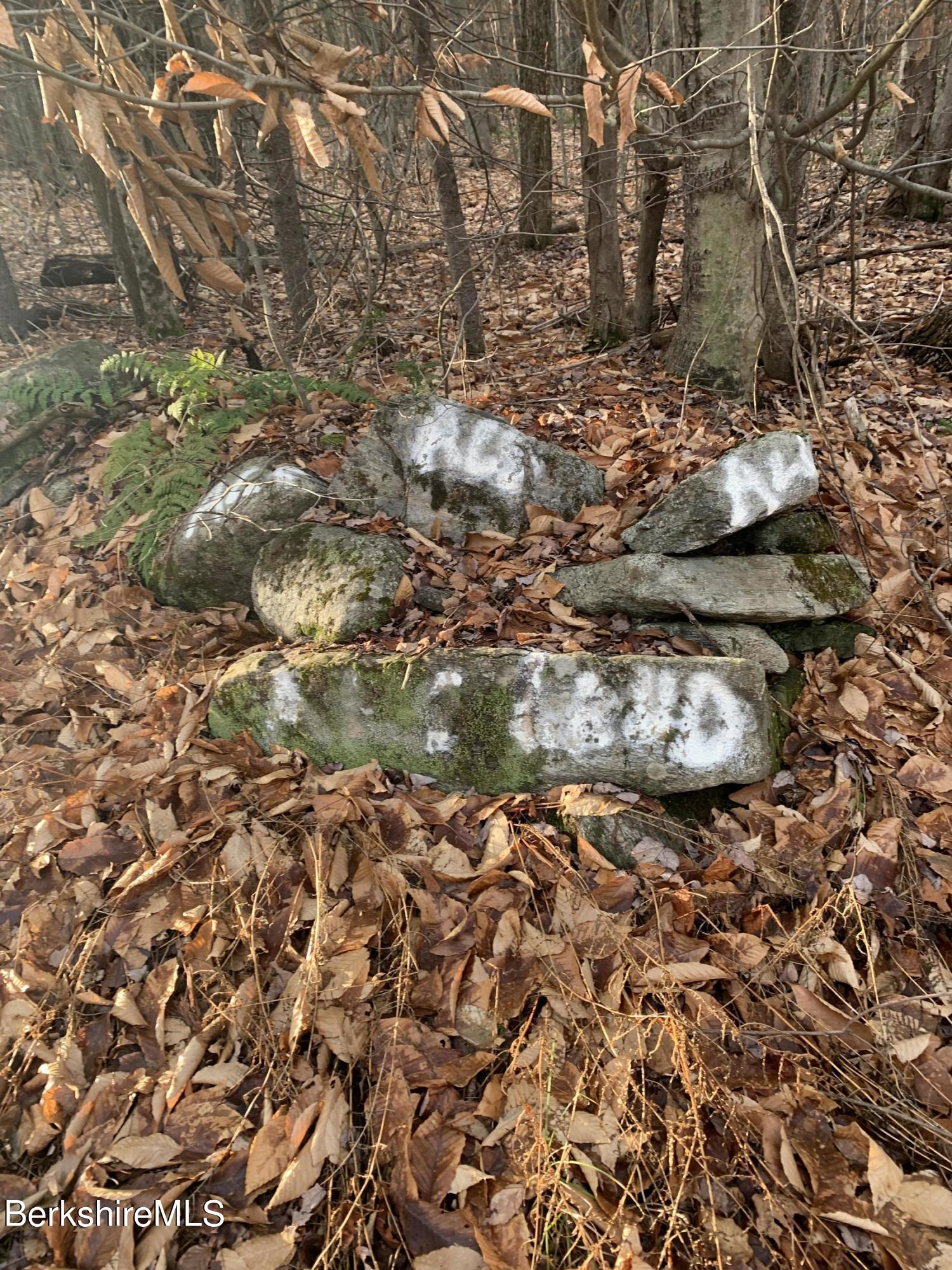 Schulze Road Becket, MA 01223 - Photo 3 of 9 Stone walls along the road