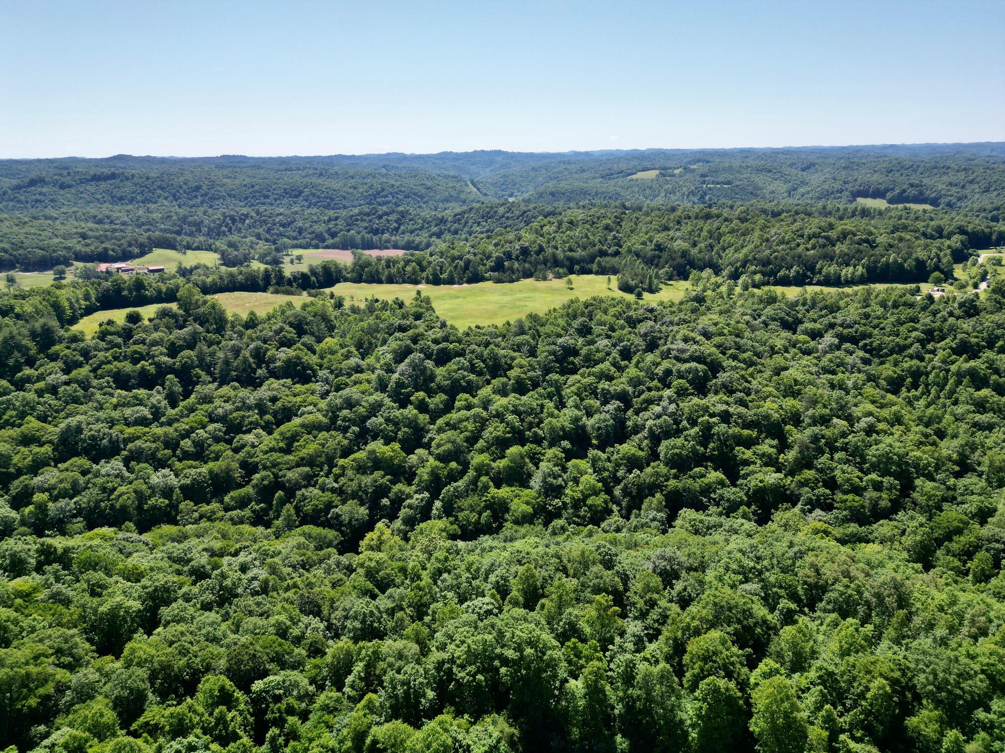 1235 Long Branch Road Beattyville, KY 41311 - Photo 38 of 46 dji_fly_20260603_105524_996_178050008522