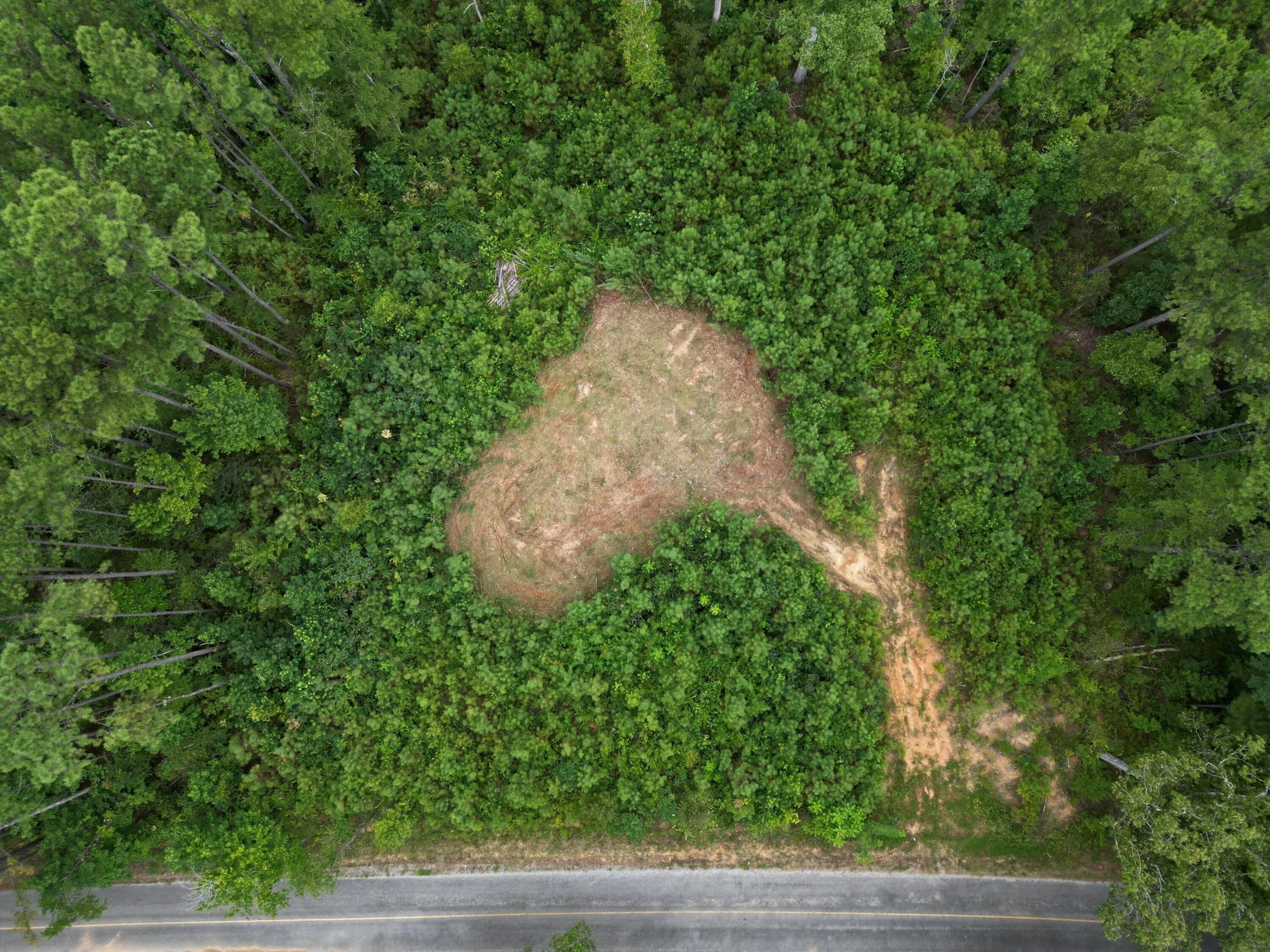 Lot 2