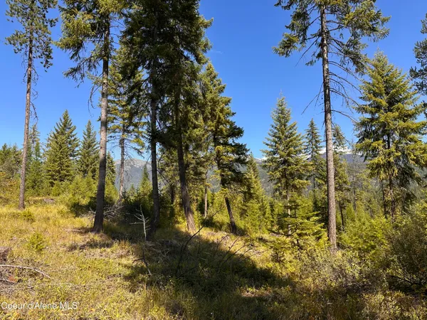 $199,000 | Nna Herman Lake Cutoff Road, Moyie Springs, ID 83845