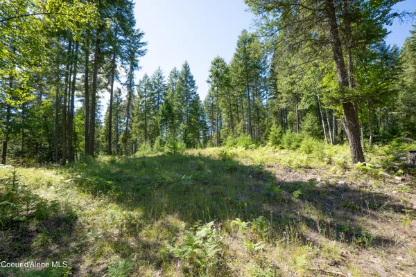 $199,000 | Nna Herman Lake Cutoff Road, Moyie Springs, ID 83845