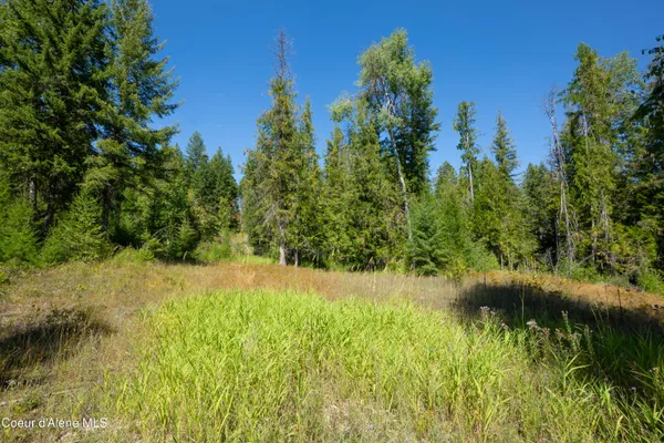 $199,000 | Nna Herman Lake Cutoff Road, Moyie Springs, ID 83845