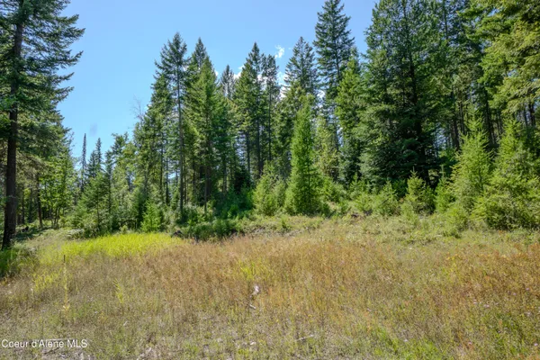 $199,000 | Nna Herman Lake Cutoff Road, Moyie Springs, ID 83845