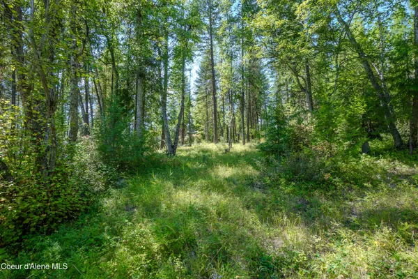 $199,000 | Nna Herman Lake Cutoff Road, Moyie Springs, ID 83845