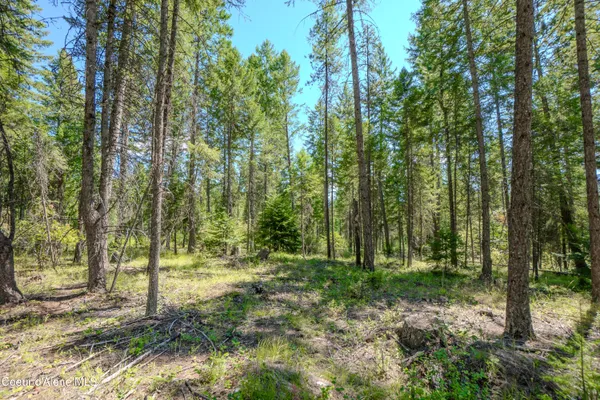 $199,000 | Nna Herman Lake Cutoff Road, Moyie Springs, ID 83845