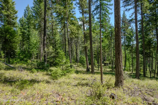 $199,000 | Nna Herman Lake Cutoff Road, Moyie Springs, ID 83845