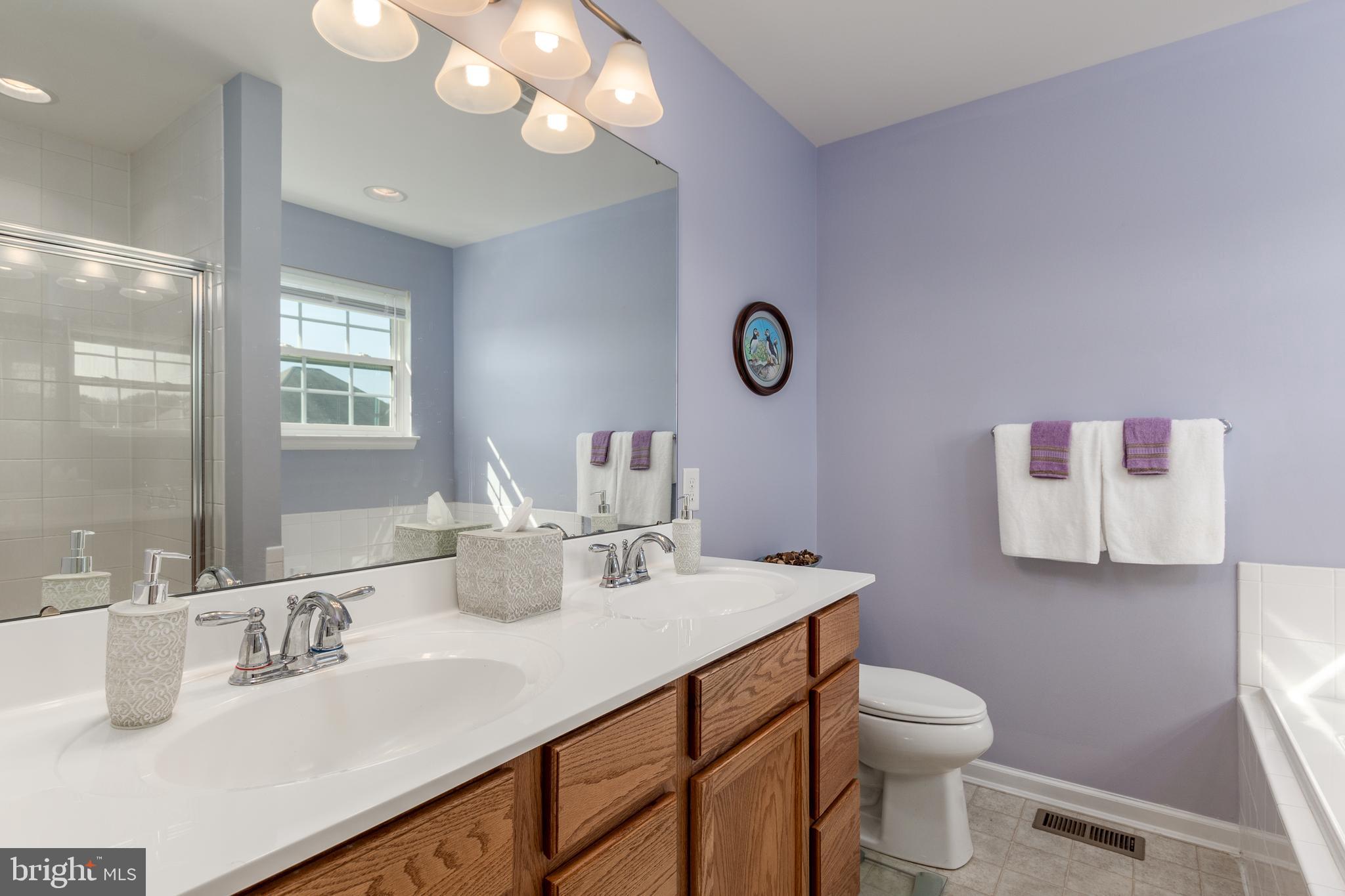 65 Foxtrail Road Smyrna, DE 19977 - Photo 17 of 21 Master Bath